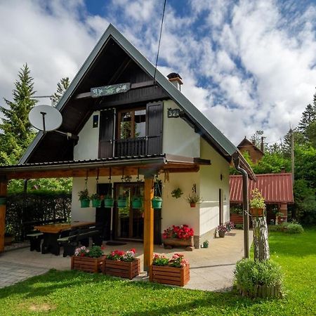 Chalet House Olga Crni Lug Kültér fotó